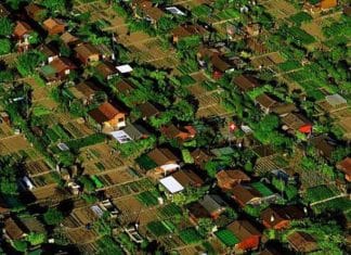 Conheça a cidade suiça onde cada habitante tem a sua própria horta