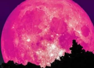 SUPERLUA ROSA acontece hoje. Organize-se e prepare-se para sua beleza.