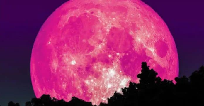 SUPERLUA ROSA SUPERLUA ROSA acontece hoje. Organize-se e prepare-se para sua beleza.
