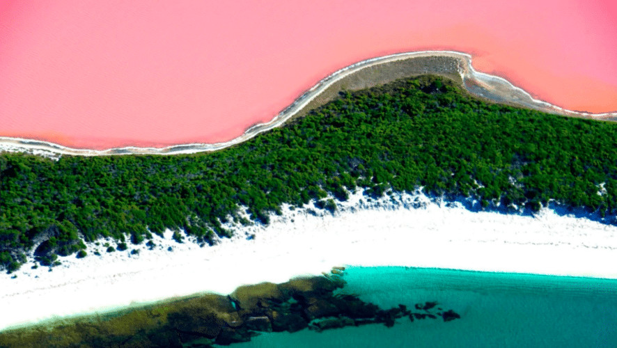 contioutra.com - Conhe&ccedil;a o fen&ocirc;meno que deixa esse lago na Austr&aacute;lia cor de rosa
