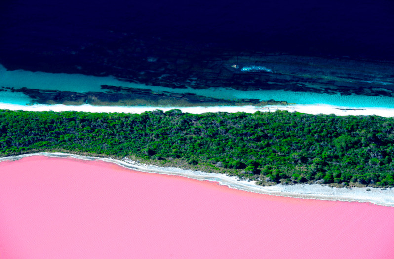 contioutra.com - Conhe&ccedil;a o fen&ocirc;meno que deixa esse lago na Austr&aacute;lia cor de rosa