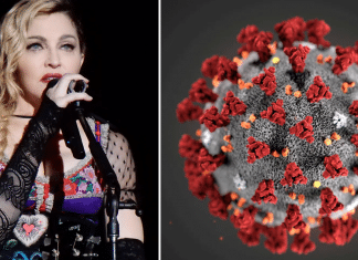 Madonna doa US $ 1 milhão para pesquisa da vacina contra COVID-19.