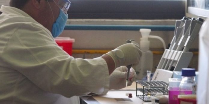 Cientistas desenvolvem teste que detecta coronavírus em apenas 2 horas e custa pouco mais de 40 reais
