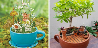 Esses jardins feitos dentro de xícaras de chá são a coisa mais adorável que você verá hoje