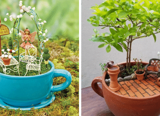 Esses jardins feitos dentro de xícaras de chá são a coisa mais adorável que você verá hoje