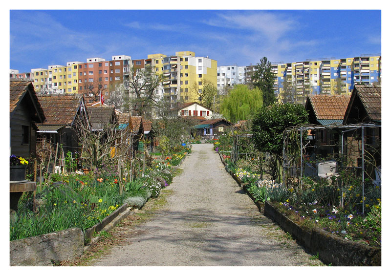 contioutra.com - Conheça a cidade suiça onde cada habitante tem a sua própria horta