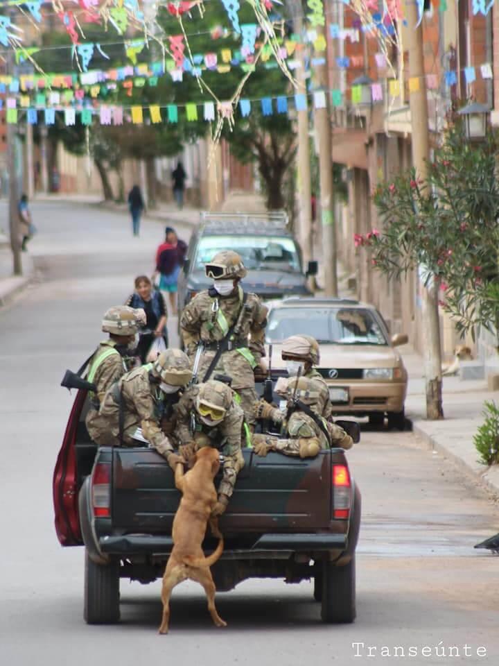 contioutra.com - Cachorros de rua buscam amor correndo atrás carro de militares em quarentena e são adotados