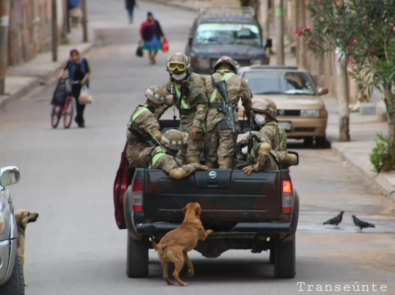 contioutra.com - Cachorros de rua buscam amor correndo atrás carro de militares em quarentena e são adotados