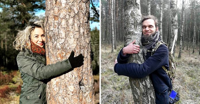 Islandeses abraçam árvores em vez de pessoas para superar o isolamento social.