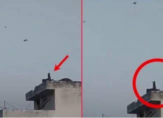 Macaco brincalhão é filmado empinando pipa durante a quarentena na Índia