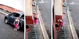 Mulher vê um cão de rua ferido, para o carro e salva sua vida