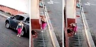 Mulher vê um cão de rua ferido, para o carro e salva sua vida Mulher vê um cão de rua ferido, para o carro e salva sua vida