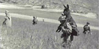 A verdadeira história do soldado que carregava o burro nas costas
