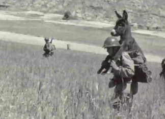 A verdadeira história do soldado que carregava o burro nas costas