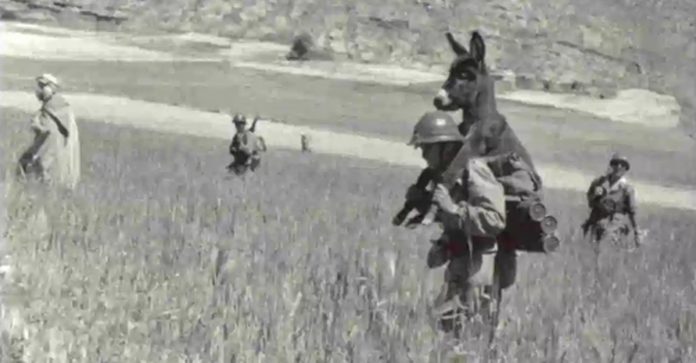 A verdadeira história do soldado que carregava o burro nas costas