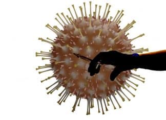 Vacina contra coronavírus poderá ficar pronta em setembro, segundo estimativa de especialista britânica