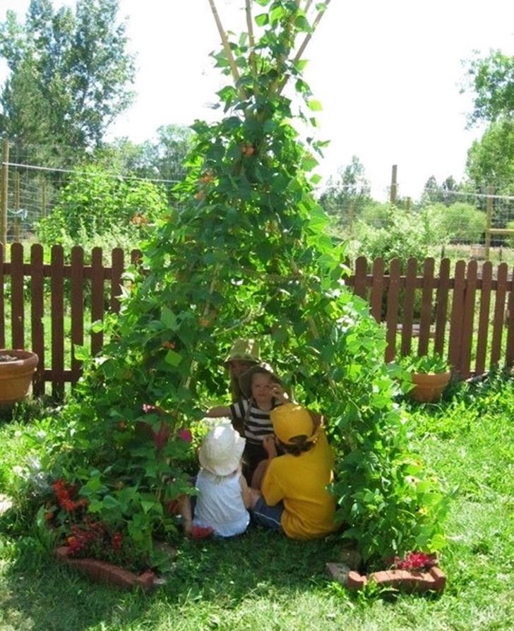 contioutra.com - Esse truque de jardinagem feito com feijões vai cativar seus filhos. Confira!