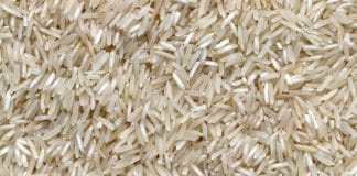 A partir de hoje não lave mais o arroz. Entenda o motivo.