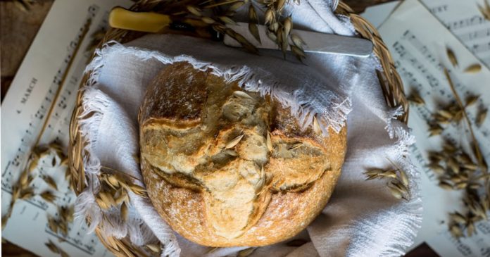 PÃO CASEIRO PARA INICIANTES: receita indicada para quem nunca fez pão