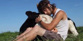 Na Nova Zelândia, todos os animais são oficialmente reconhecidos como seres sencientes Na Nova Zelândia, todos os animais são oficialmente reconhecidos como seres sencientes