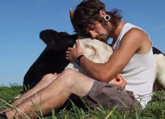 Na Nova Zelândia,  todos os animais são oficialmente reconhecidos como seres sencientes