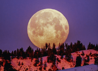 Última superlua de 2020 ocorre nesta semana; saiba mais.