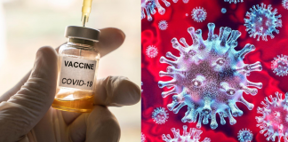Primeira vacina contra coronavírus testada em humanos tem resultado positivo