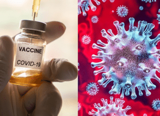 Primeira vacina contra coronavírus testada em humanos tem resultado positivo