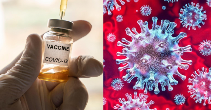 Primeira vacina contra coronavírus testada em humanos tem resultado positivo