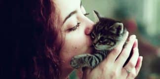 Tutores de Gatos podem ter mais tolerância a Covid-19, é hipótese de médica espanhola Tutores de Gatos podem ter mais tolerância a Covid-19, é hipótese de médica espanhola