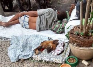 Homem em situação de rua improvisa caminha para cachorro e comove a web