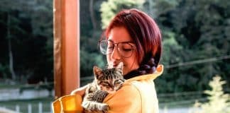 Os gatinhos também dizem “Eu te amo”! Saiba como isso acontece e como você pode respondê-los