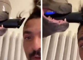 Cão entediado na quarentena vira barbeiro e faz corte de cabelo em seu dono; ASSISTA!