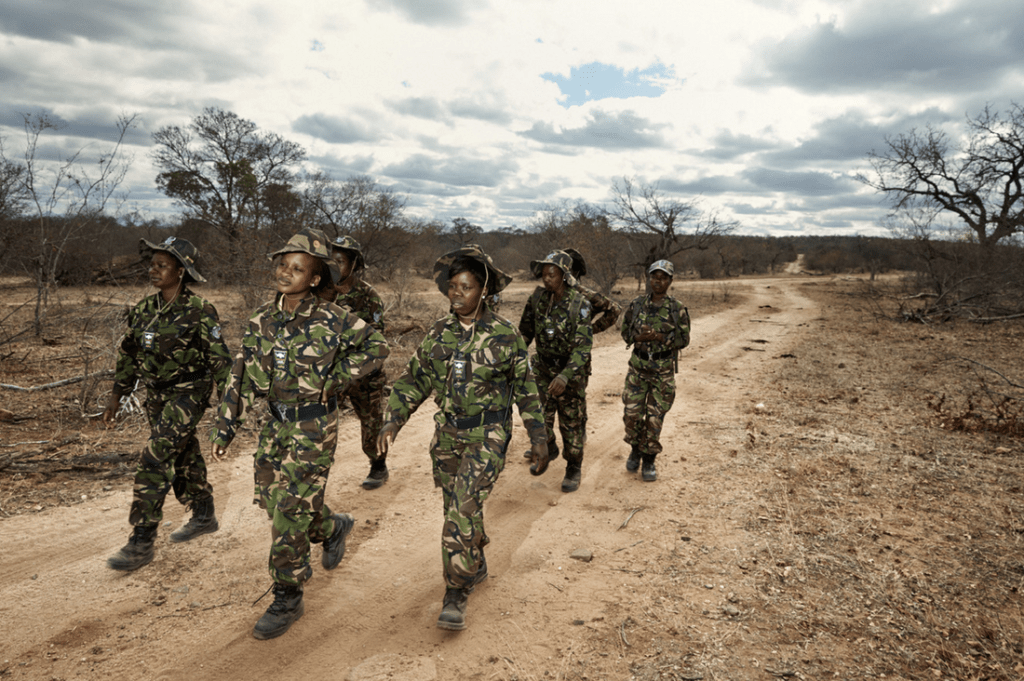 contioutra.com - Um grupo de mulheres africanas se uniu para combater os caçadores de animais na África