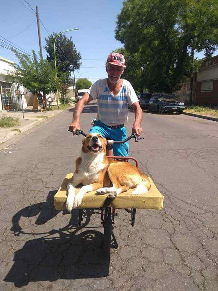 contioutra.com - Esse cão ama passear de bicicleta com seu dono. Ele tem até uma caminha para desfrutar melhor o passeio!