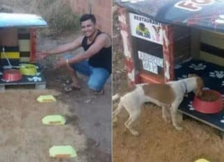 ‘Restaurante Fome Zero’: Projeto disponibiliza comida e água a animais de rua durante 24 por dia