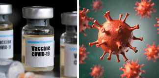 Vacina contra covid-19 produzida pela Oxford conta com 2 mil voluntários brasileiros para testes.