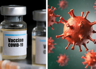 Vacina contra covid-19 produzida pela Oxford conta com 2 mil voluntários brasileiros para testes.