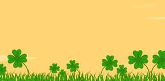 Simpatias para ganhar no bingo!