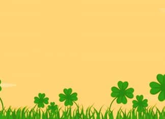 Simpatias para ganhar no bingo!