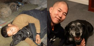 Cabo da marinha americana adota cachorra farejadora de explosivos que salvou sua vida no Afeganistão