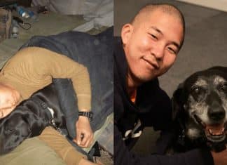 Cabo da marinha americana adota cachorra farejadora de explosivos que salvou sua vida no Afeganistão