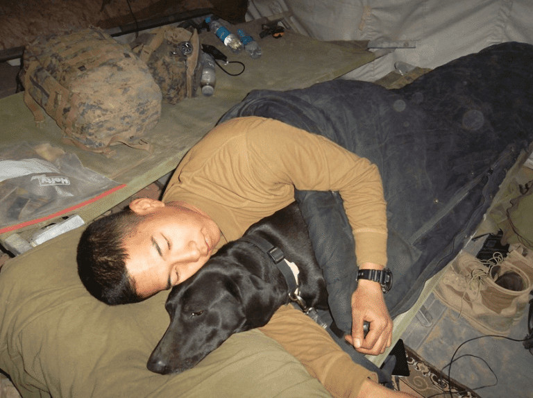 contioutra.com - Cabo da marinha americana adota cachorra farejadora de explosivos que salvou sua vida no Afeganist&atilde;o