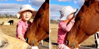Garotinha viraliza ao cantar para seus amigos cavalos. Eles parecem adorar; assista.