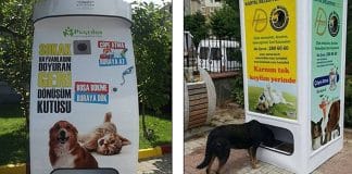 Empresa cria máquina que troca garrafas pet vazias por comida para animais de rua