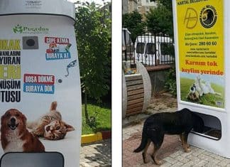 Empresa cria máquina que troca garrafas pet vazias por comida para animais de rua