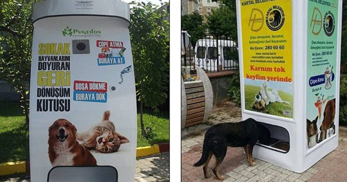 Empresa cria máquina que troca garrafas pet vazias por comida para animais de rua