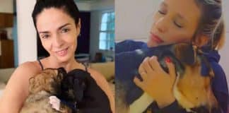 Claudia Ohana devolve cães adotados e Luisa Mell dá bronca: “Tenha responsabilidade”