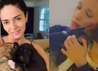 Claudia Ohana devolve cães adotados e Luisa Mell dá bronca: “Tenha responsabilidade”