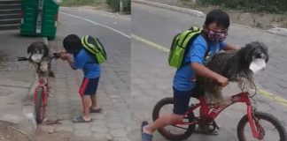 Carinho em tempos de COVID: Menino sobe cachorro em bicicleta e coloca máscara nele antes de partir